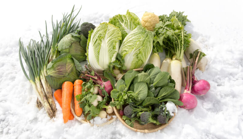 冬野菜のイメージ