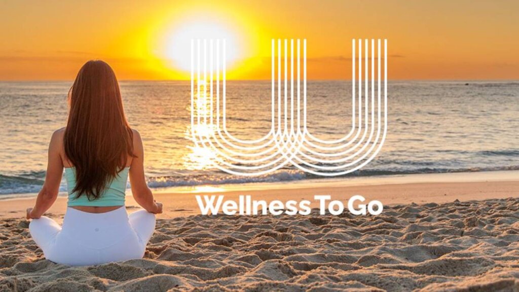 Wellness To Go（ウェルネストゥーゴー）