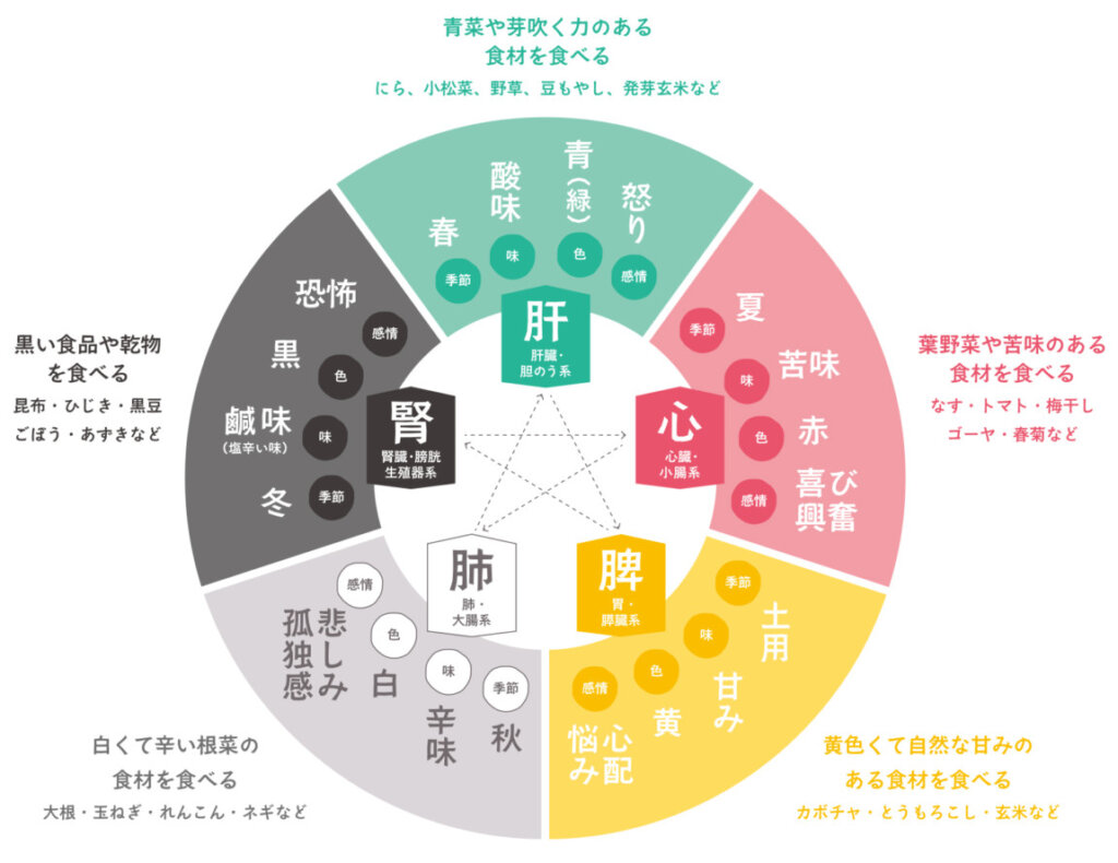 陰ヨガの特徴「季節に合った内臓のケアをする」