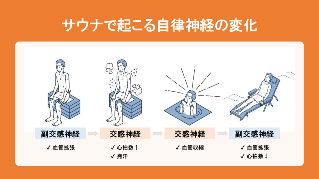 サウナで起こる自律神経の変化