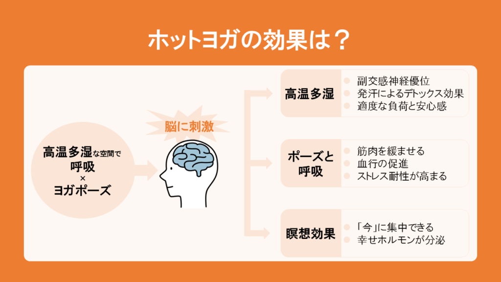 そもそもホットヨガとは？どのような効果があるのか